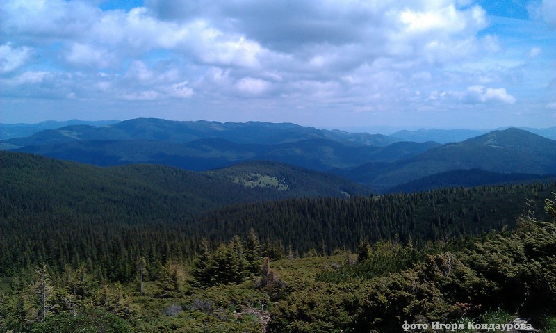 IMAG0918.jpg а.jpg