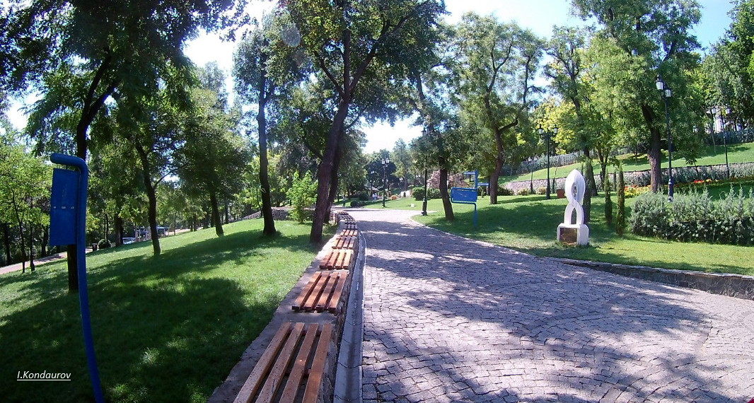 IMG_0001_1.jpg