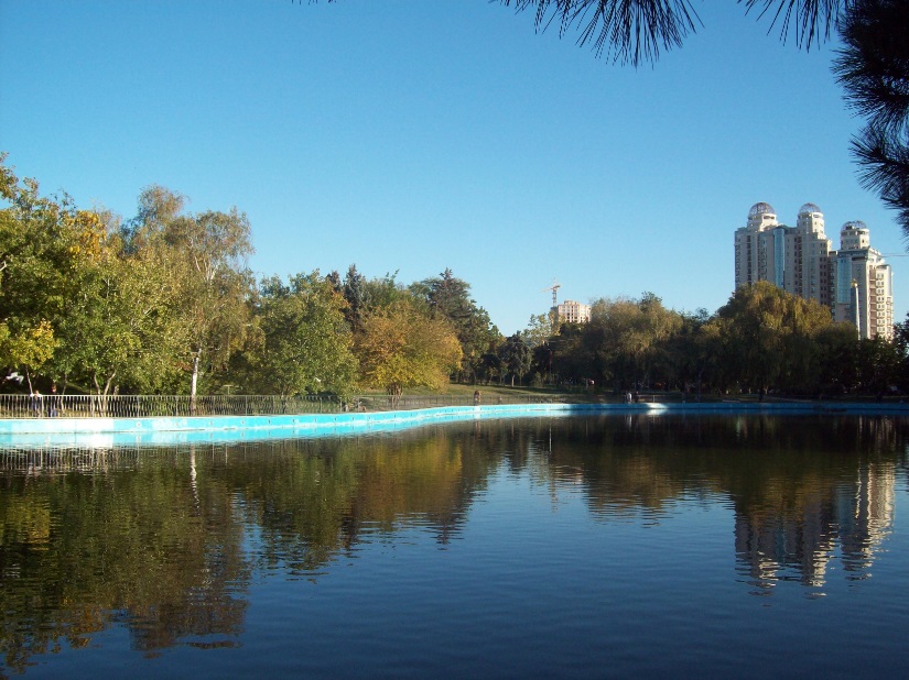 В Дендропарке. Одесса, ранним вечером, 8.10.2018.<br />Фото Яна Пичиневского
