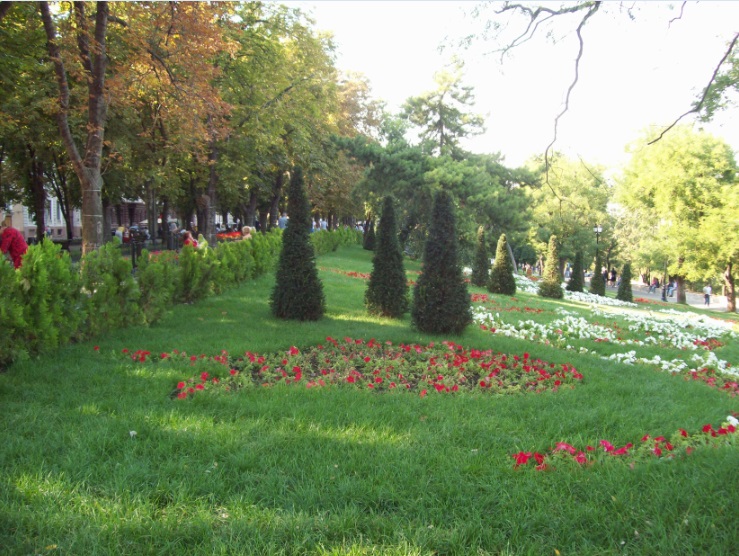 Верхня південна частина Стамбульського парку
У центральній частині міста, Одеса, 09.09.2017
