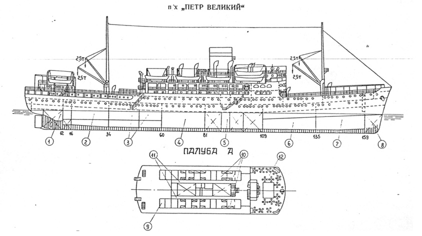 Петр великий схема