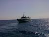 050920081590.jpg