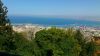 DSC_1969.jpg