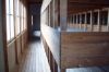 Dachau_Foto57.jpg