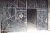 Dachau_Foto66.jpg