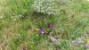 Foto_DSC_1729.jpg